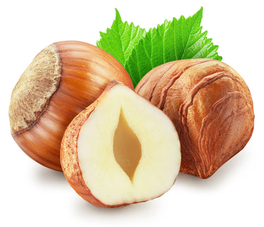 5 EUROPEAN HAZELNUT TREE aka Common Filbert Corylus Avellana Fruit Nut Seeds